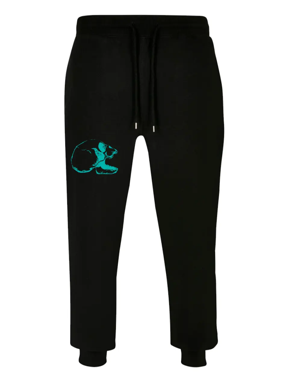 SPC PROD TURQOISE - Pantaloni lungi premium