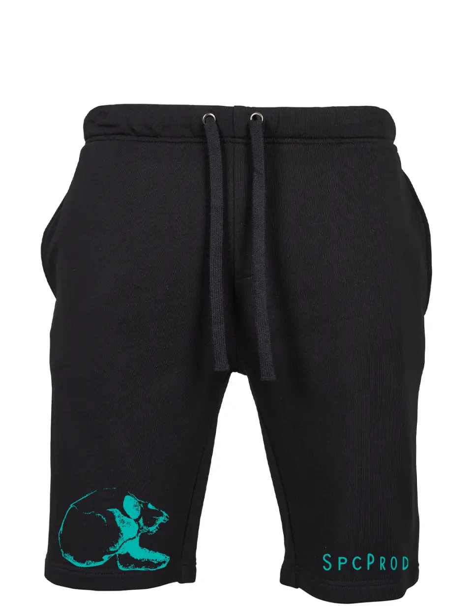SPC PROD TURQOISE - Pantaloni scurti premium